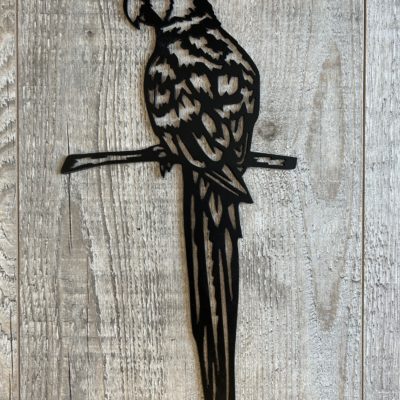 Image de plaque décorative métal "Perroquet"